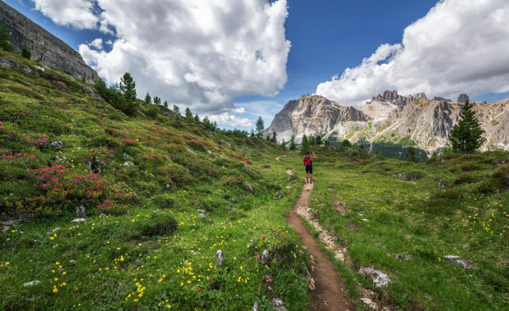 Breathtaking Day Hikes: Stunning Short Trails for Every Skill Level