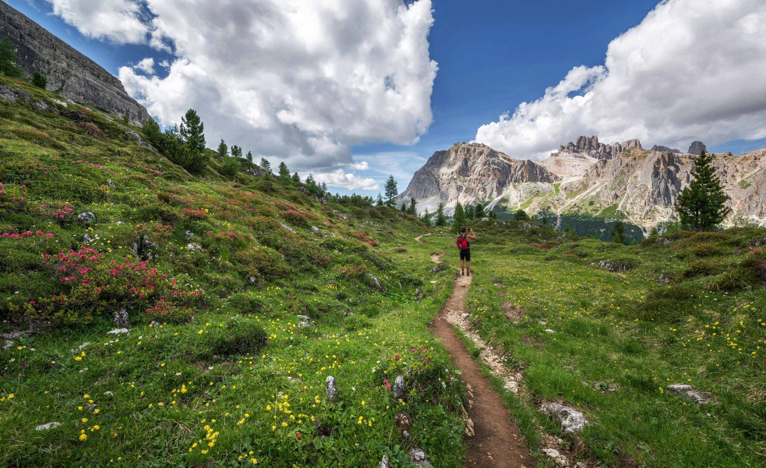 Breathtaking Day Hikes: Stunning Short Trails for Every Skill Level