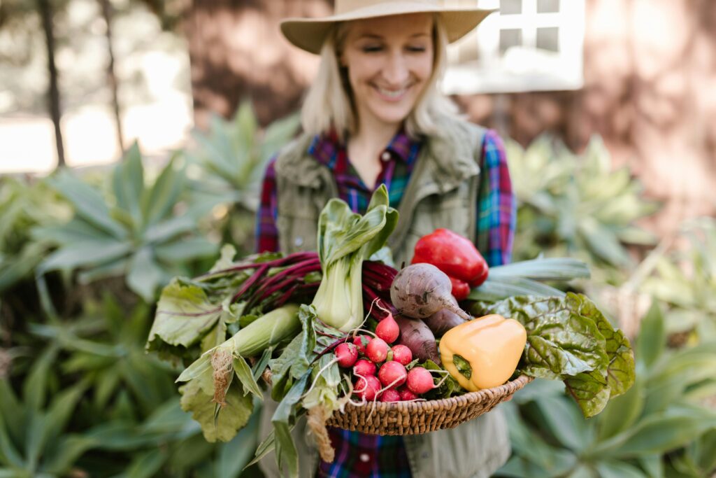 Farm-to-Table Journeys: Savoring Freshness in Local Cuisines